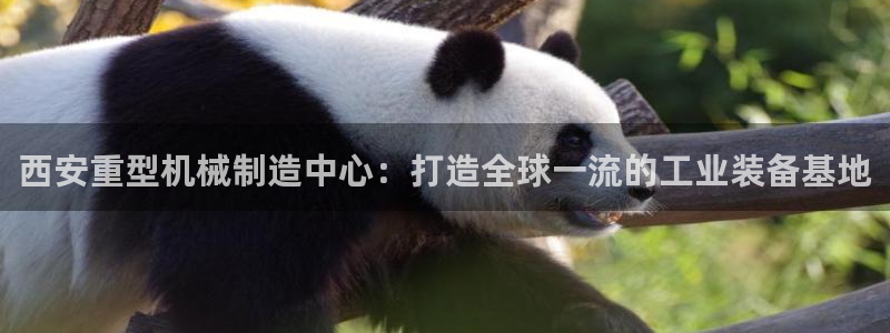 万事娱乐手机客户端