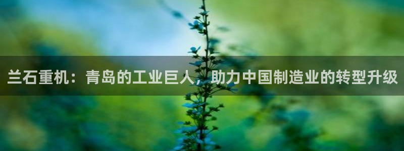 万事娱乐主管年薪多少