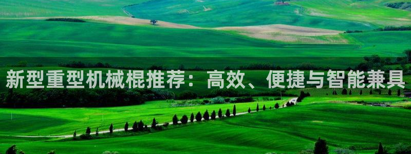 万事达娱乐董善良
