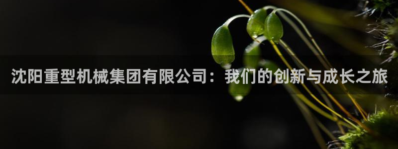 万事达娱乐h OO判官