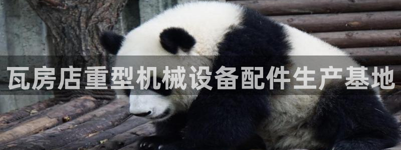 万事娱乐是什么