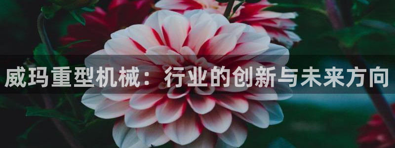 万事娱乐系37997筘