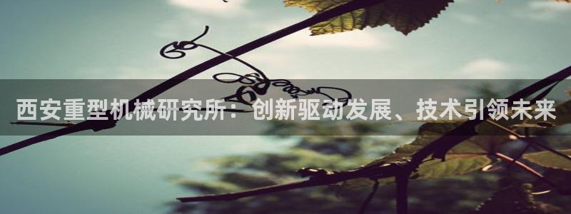 万事如意朋友娱乐